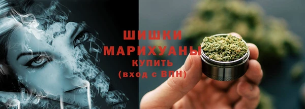 ПСИЛОЦИБИНОВЫЕ ГРИБЫ Баксан