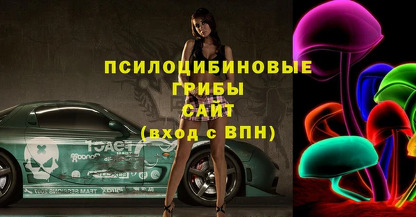 ПСИЛОЦИБИНОВЫЕ ГРИБЫ Баксан