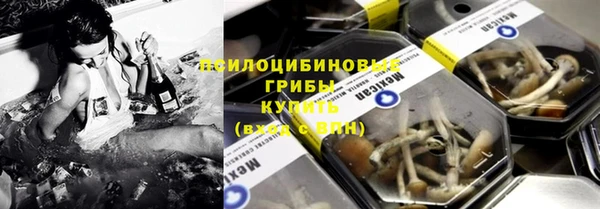 ПСИЛОЦИБИНОВЫЕ ГРИБЫ Баксан