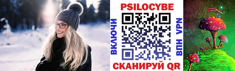 omg как войти Михайловка Галлюциногенные грибы Psilocybine cubensis